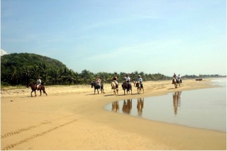  Randonnées à cheval sur la plage 